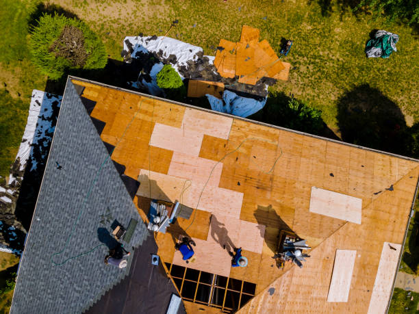 Quick and Trustworthy Emergency Roof Repair Services in Sterlington, LA